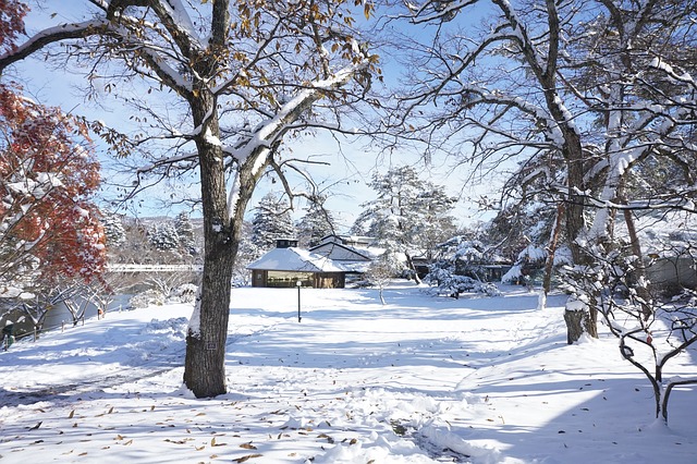 冬だからこそ訪れるべき軽井沢のおすすめ観光スポット