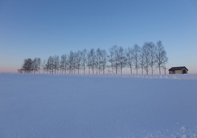 寒くても魅力的！北海道の秋冬オススメ観光スポット4選（北海道・東北）